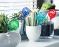 Glass Plant Watering Globes (4 Pack)